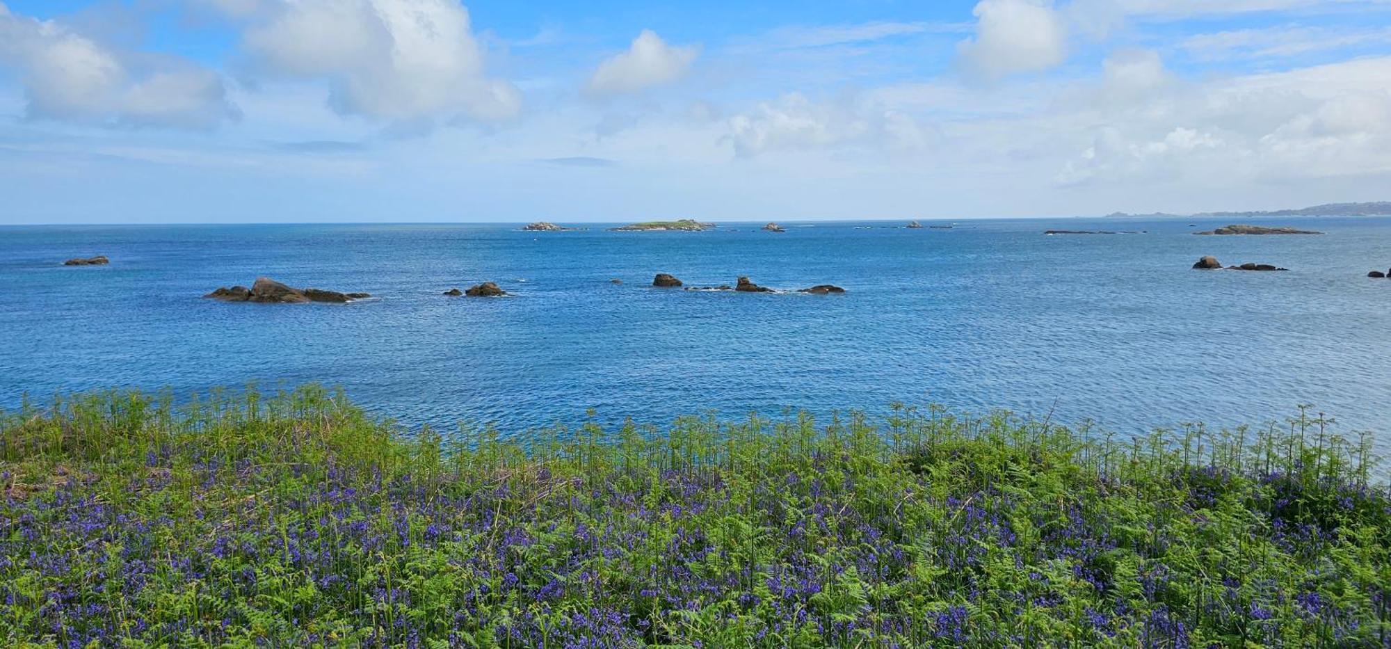 Ker Douara - Ile Callot Carantec Eksteriør billede